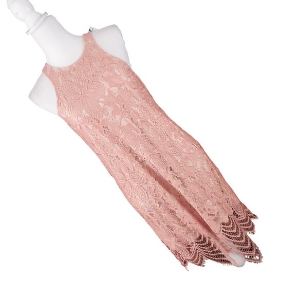 NWT@$70! EXPRESS! SWEET DUSTY MELON PINK LACE SHIFT DRESS, SLEEVELESS! SZ M - Picture 10 of 10